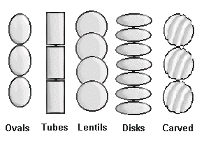 Bead Shapes