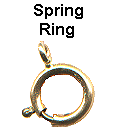Spring Ring