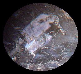 Crystal Inclusions in Hyperitdiabas