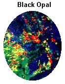 Black Opal