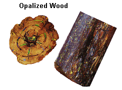 Opalized Wood