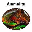 Ammolite 