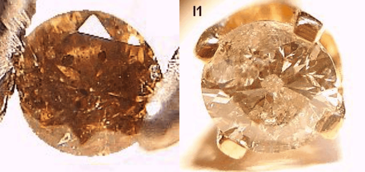 Clarity grading diamonds – I1 stones