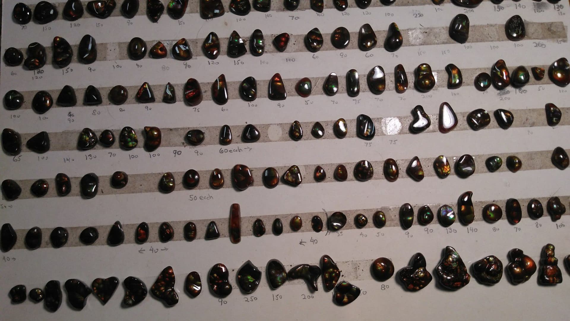 Denver Gem and Mineral Showcase - gem hunting in the US