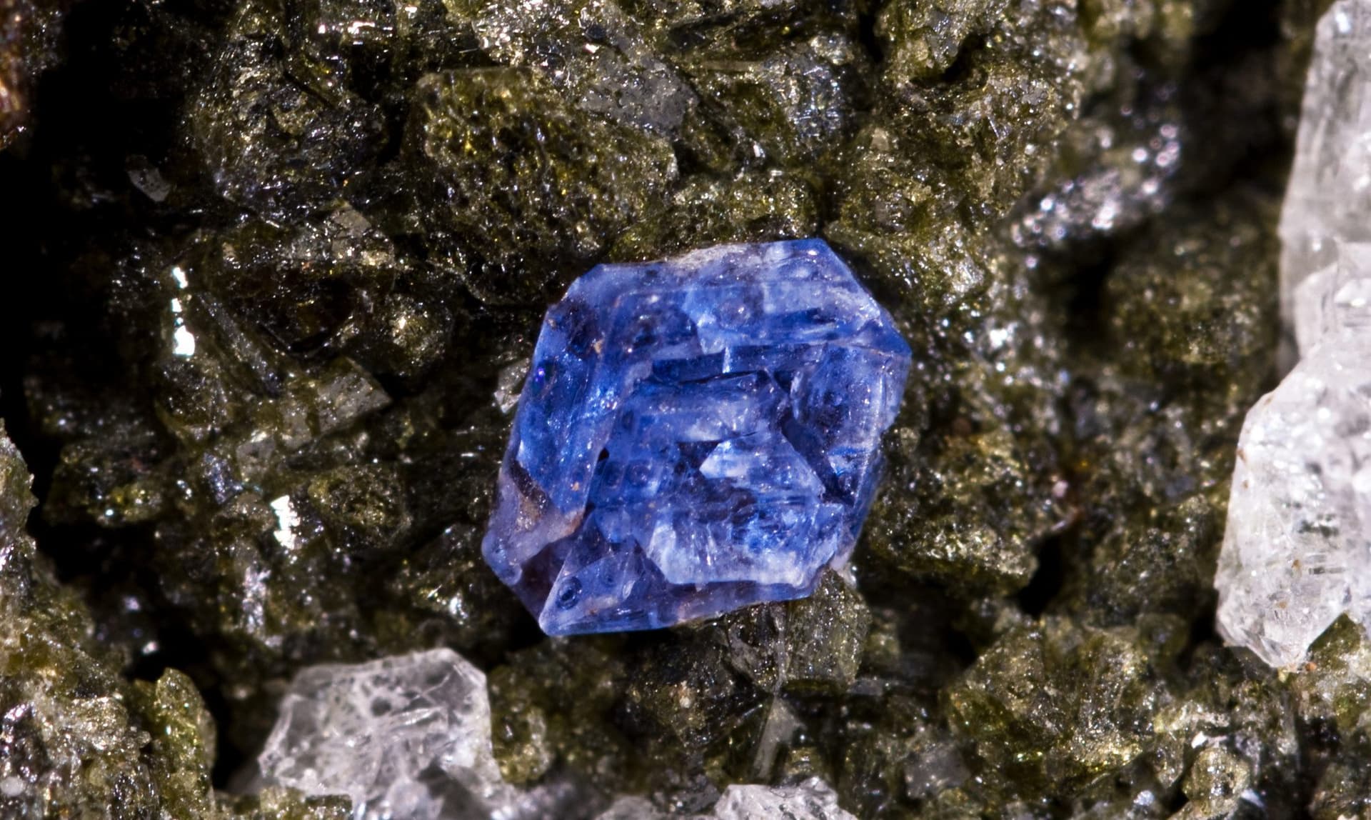 haüyne crystal on augite matrix- Italy