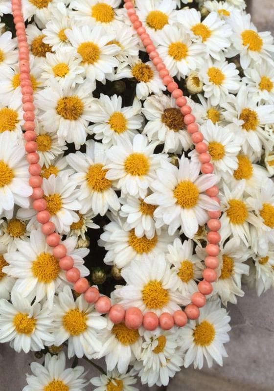 precious coral buying - angel skin coral