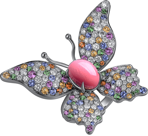 conch pearl buying guide - conch pearl butterfly