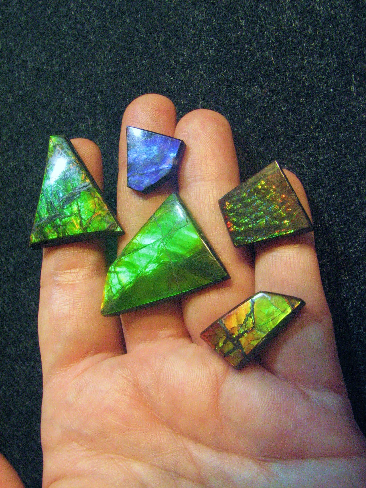 ammolite - opal simulants