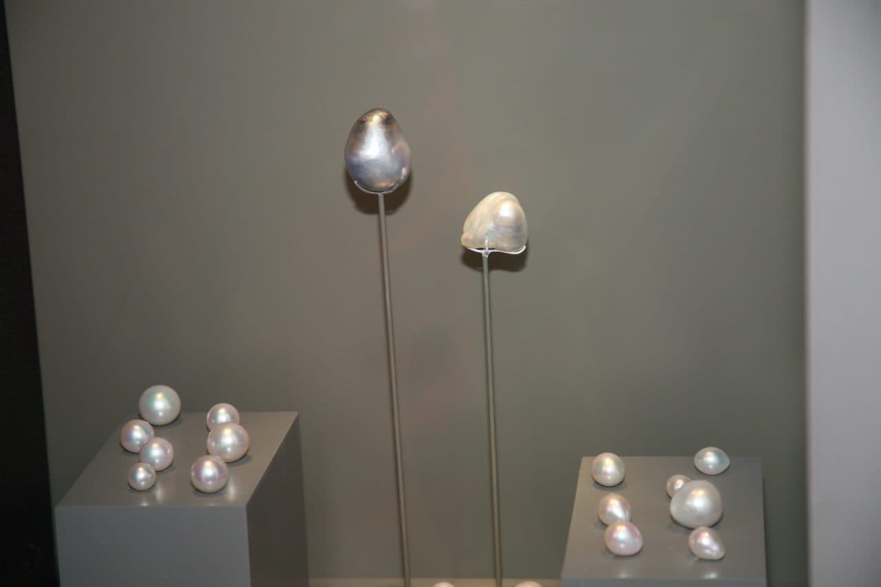 pearls on display - south sea pearls