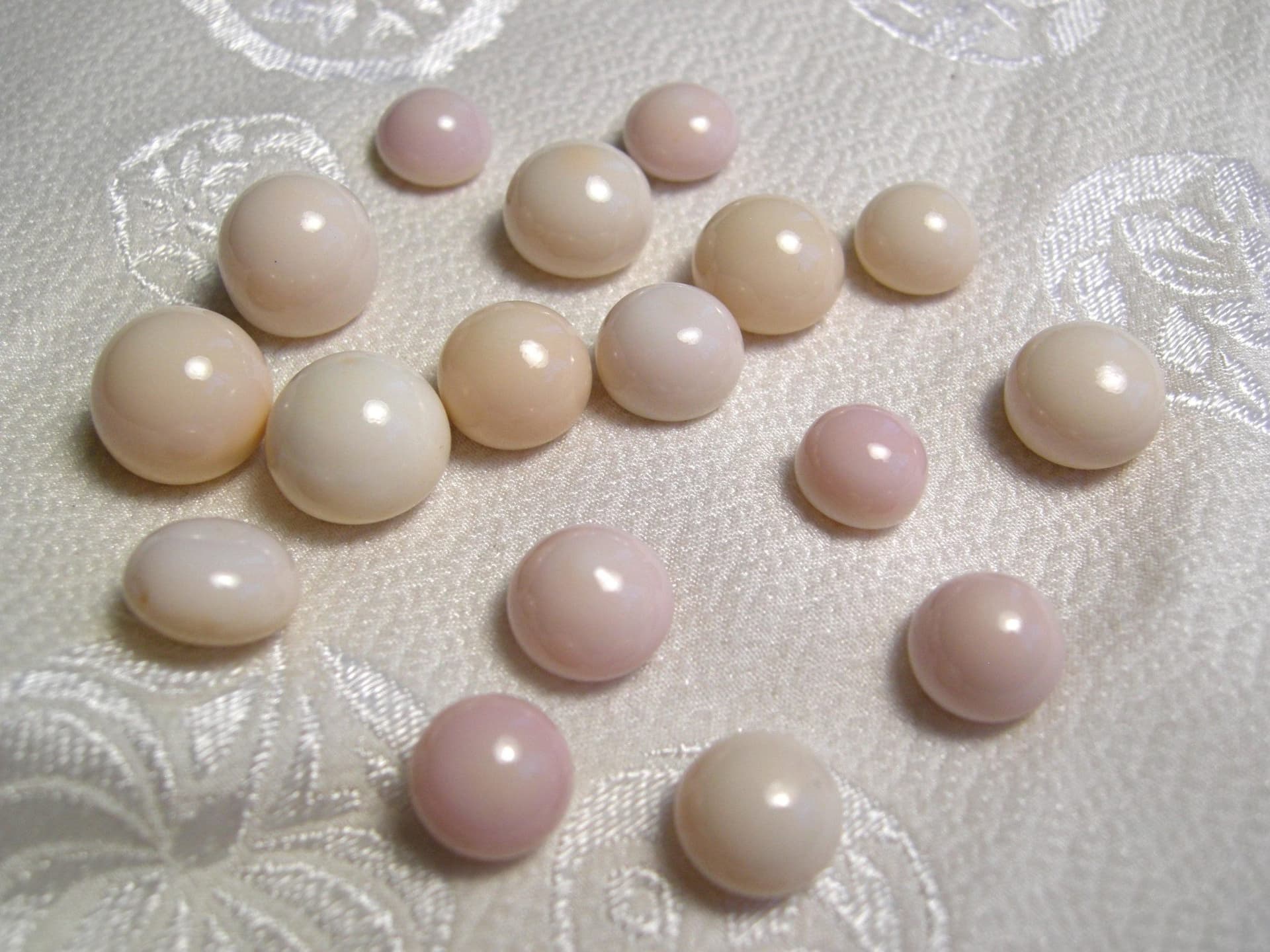 quahog pearls with button shapes