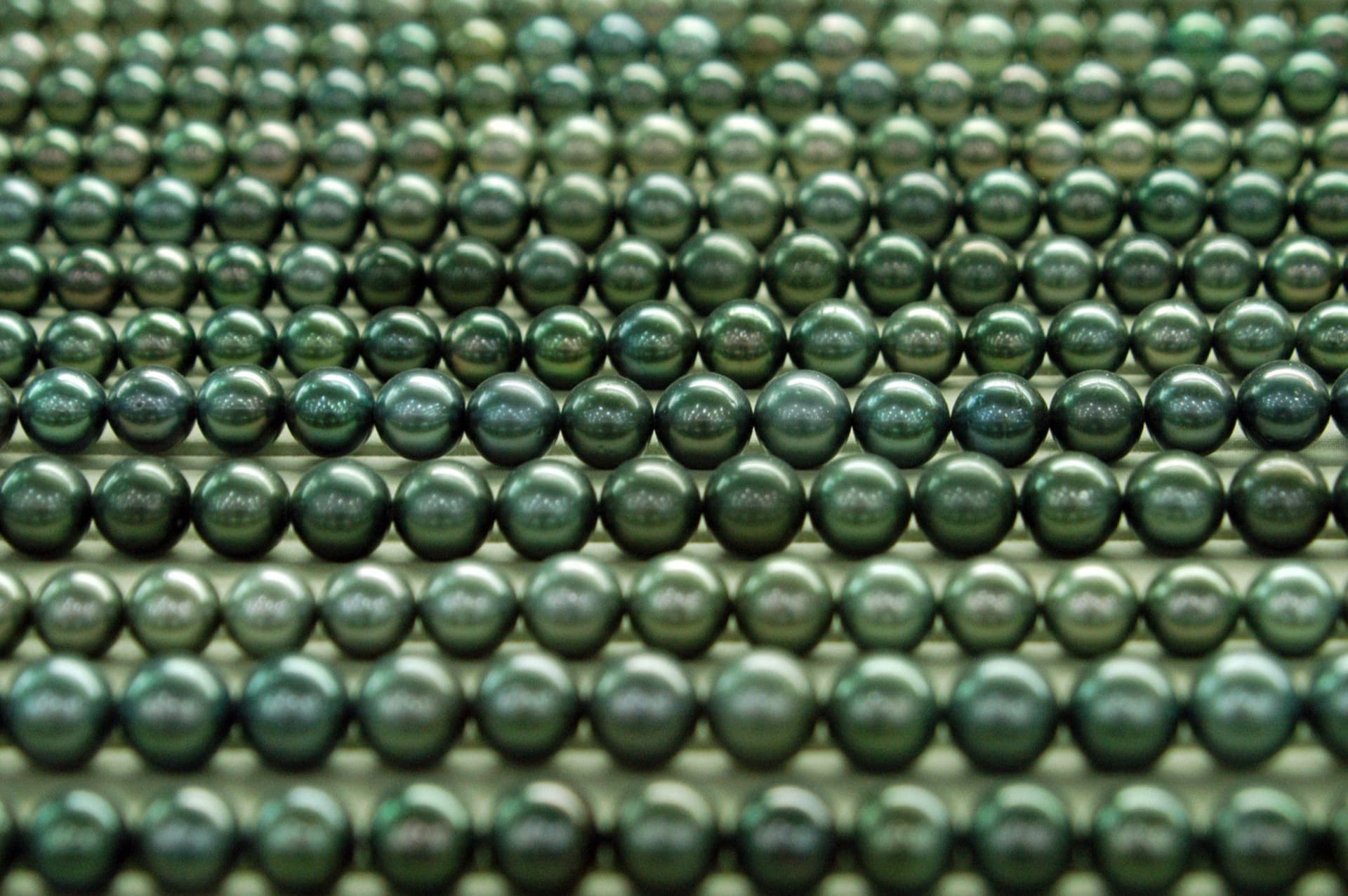 high luster - appraising pearls