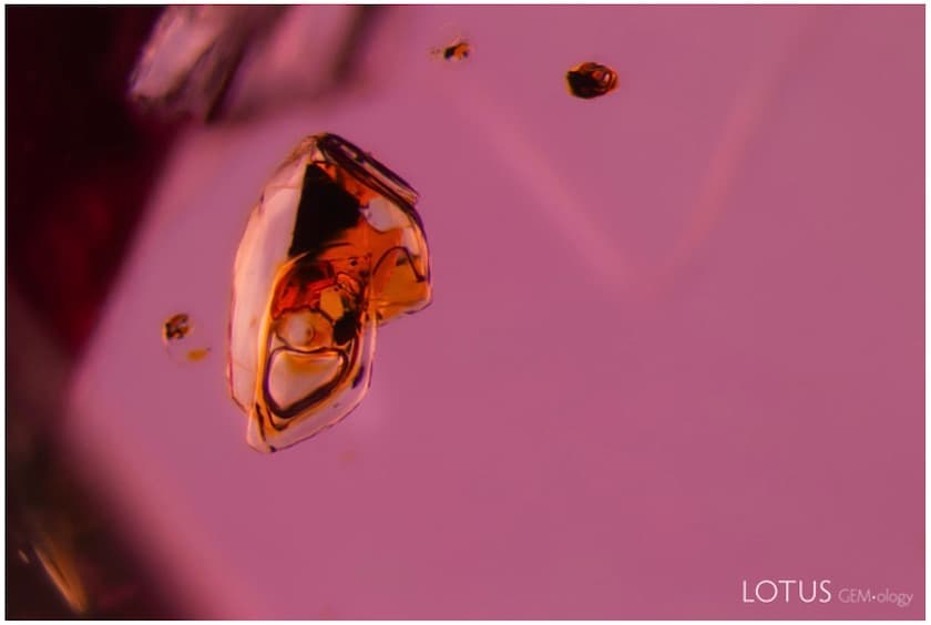 fluid inclusion in spinel