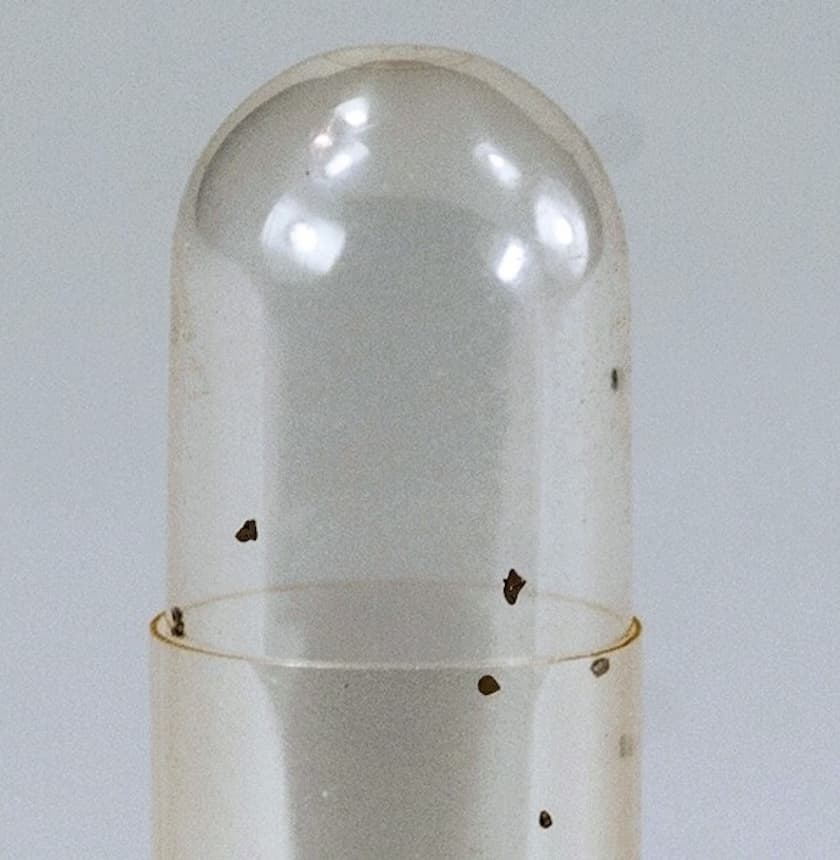 native elements - Russia