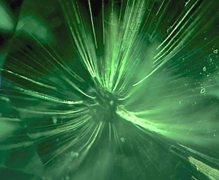 Magnified view of a horsetail inclusion