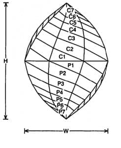 Chinese Lantern#2 Jeff Graham Facet Design1