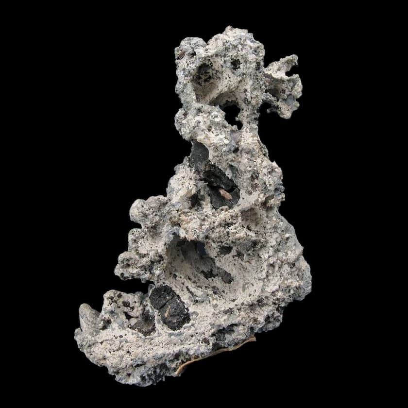 native lead - Sweden