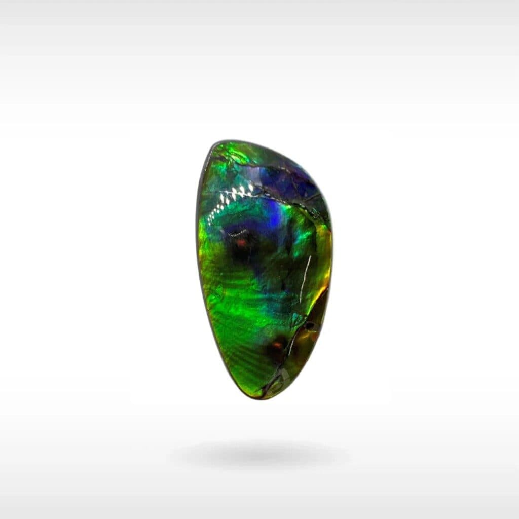 Canadian ammolite blue green muted