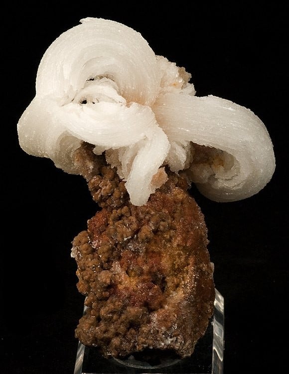 "Ram's horn" gypsum - China