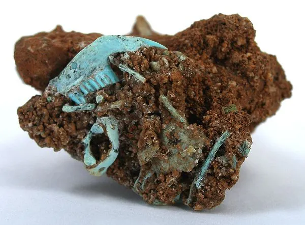 turquoise pseudomorph after fossil bone - Nevada