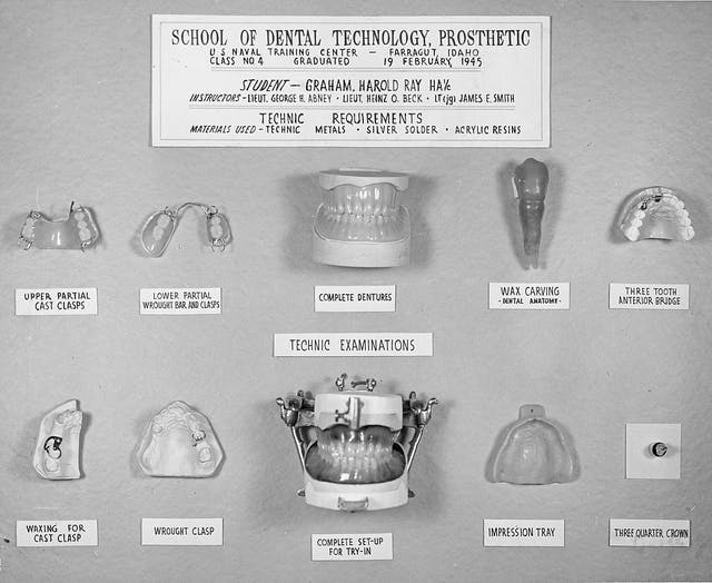 These prosthetics were created by students at the School of Dental Technology, Naval Training Center, Farragut, ID in 1945. Among the pieces shown here are wax carvings. 