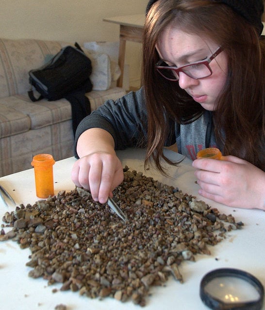 sapphire picking, Philipsburg, MT