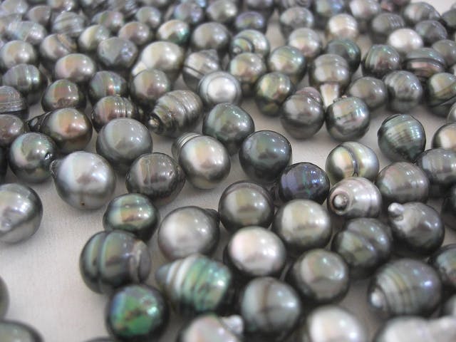 Cultured Pearls from Rangiroa, French Polynesia