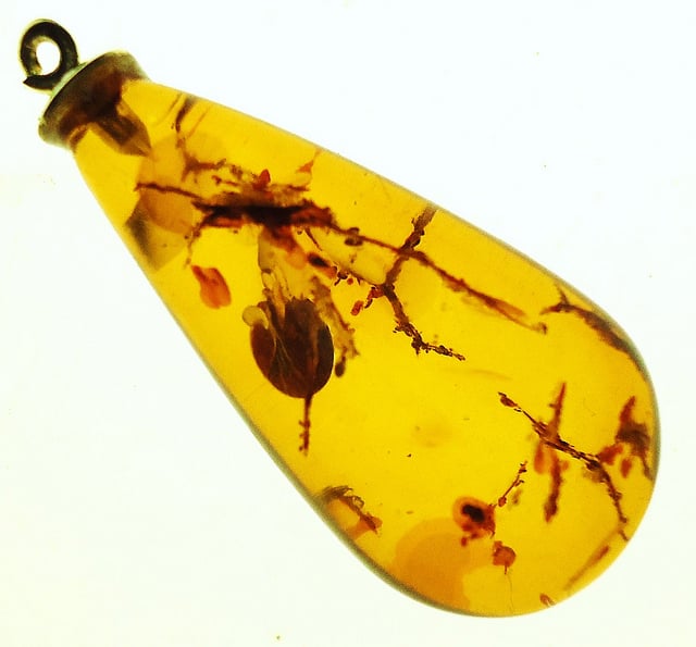 amber pendant