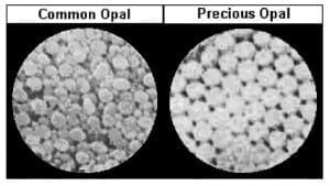 common and precious opals