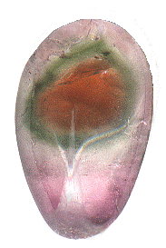 Carved Cabochon Tourmaline