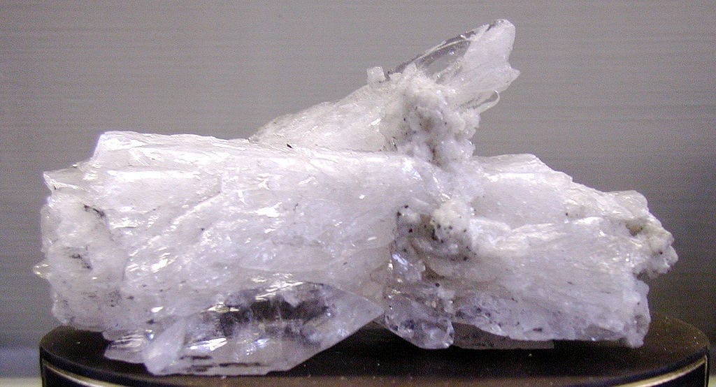 whewellite crystal - Czech Republic