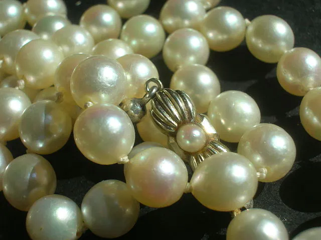 pear symbolism - necklace