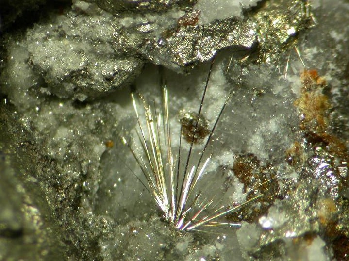 millerite - Netherlands