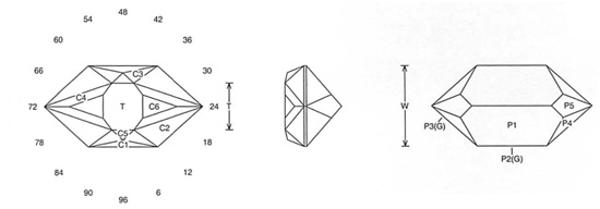 Contort Jeff Graham Facet Design