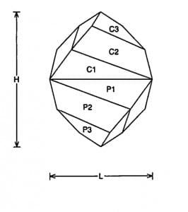 Short Torque Jeff Graham Facet Design1