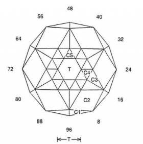 Tantra: Faceting Design Diagram