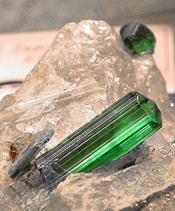 Green petrified wood