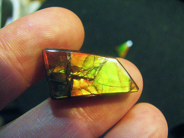 cut ammolite - Korite