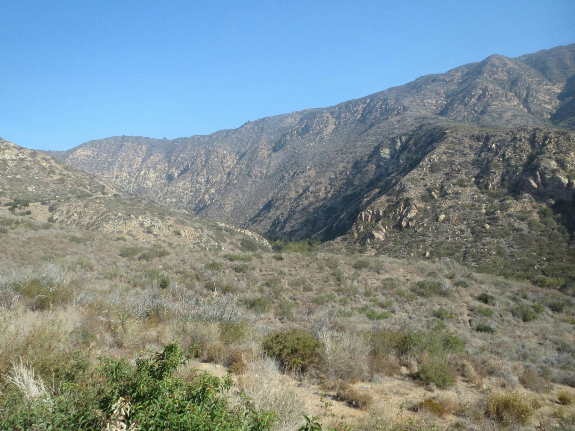 Desert Prospecting: Discovering California Turquoise