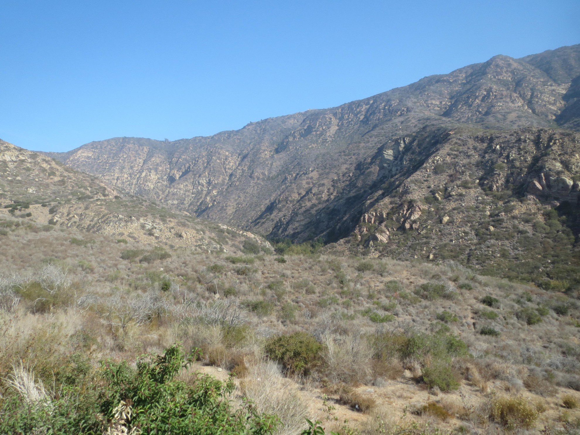 Mojave Desert