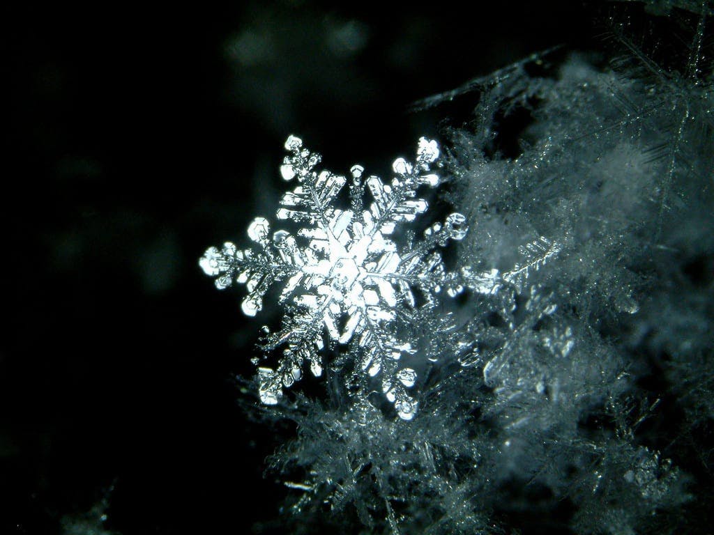 snowflake crystal