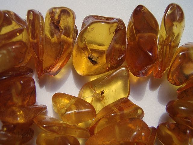 amber - resinous luster