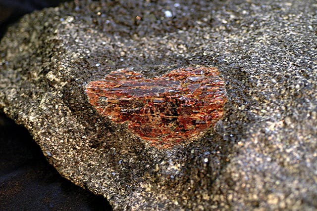 Garnet is the official gem of New York State. This garnet in amphibolite rock was found at Gore Mountain in New York state. 
