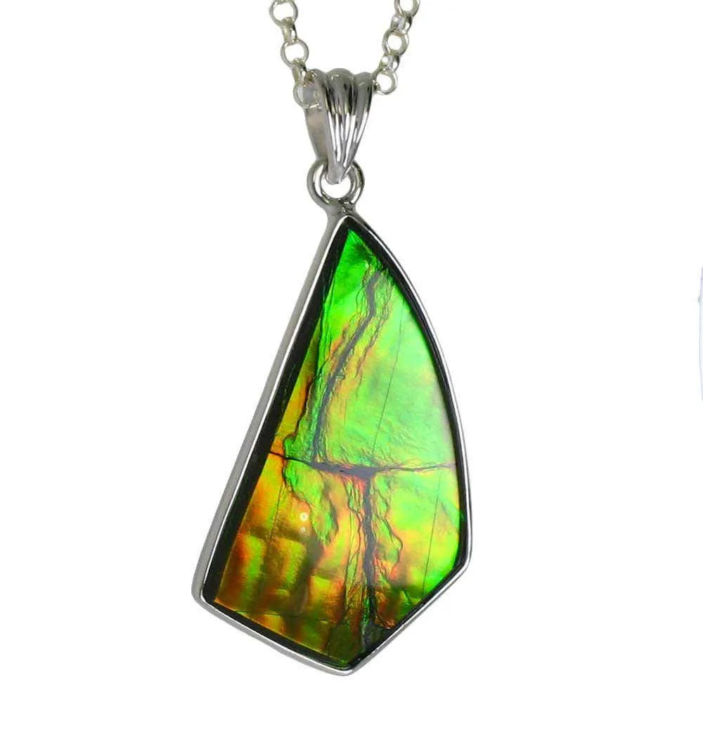 Ammolite Value, Price, and Jewelry Information