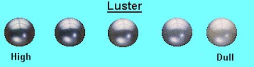 pearl luster comparison