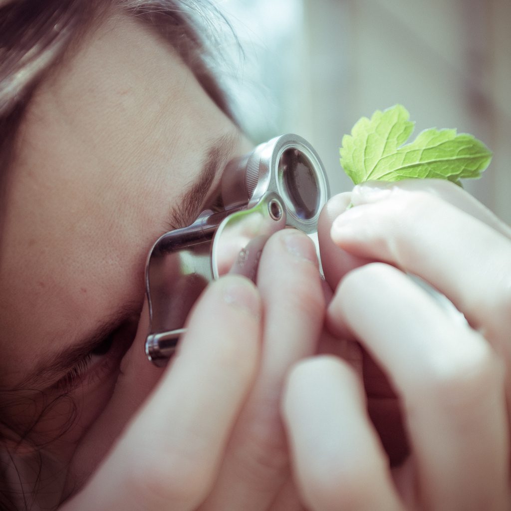 using a 10X loupe