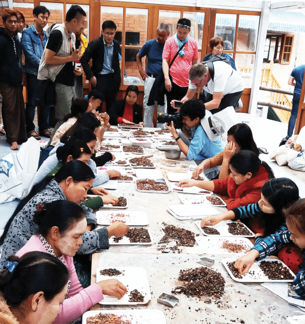 Baw Mar mine operation - Mogok, Myanmar