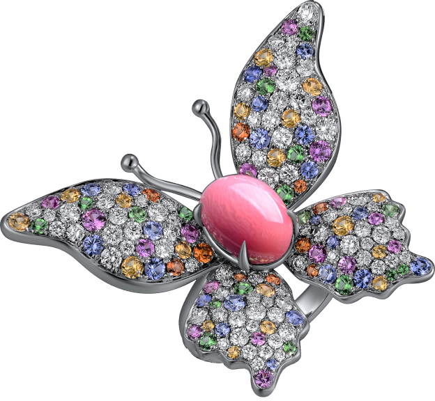 conch pearl buying guide - conch pearl butterfly