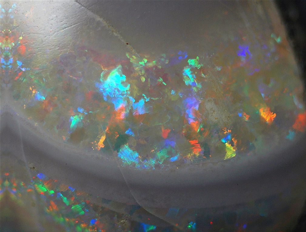 opalized fossil - opal types