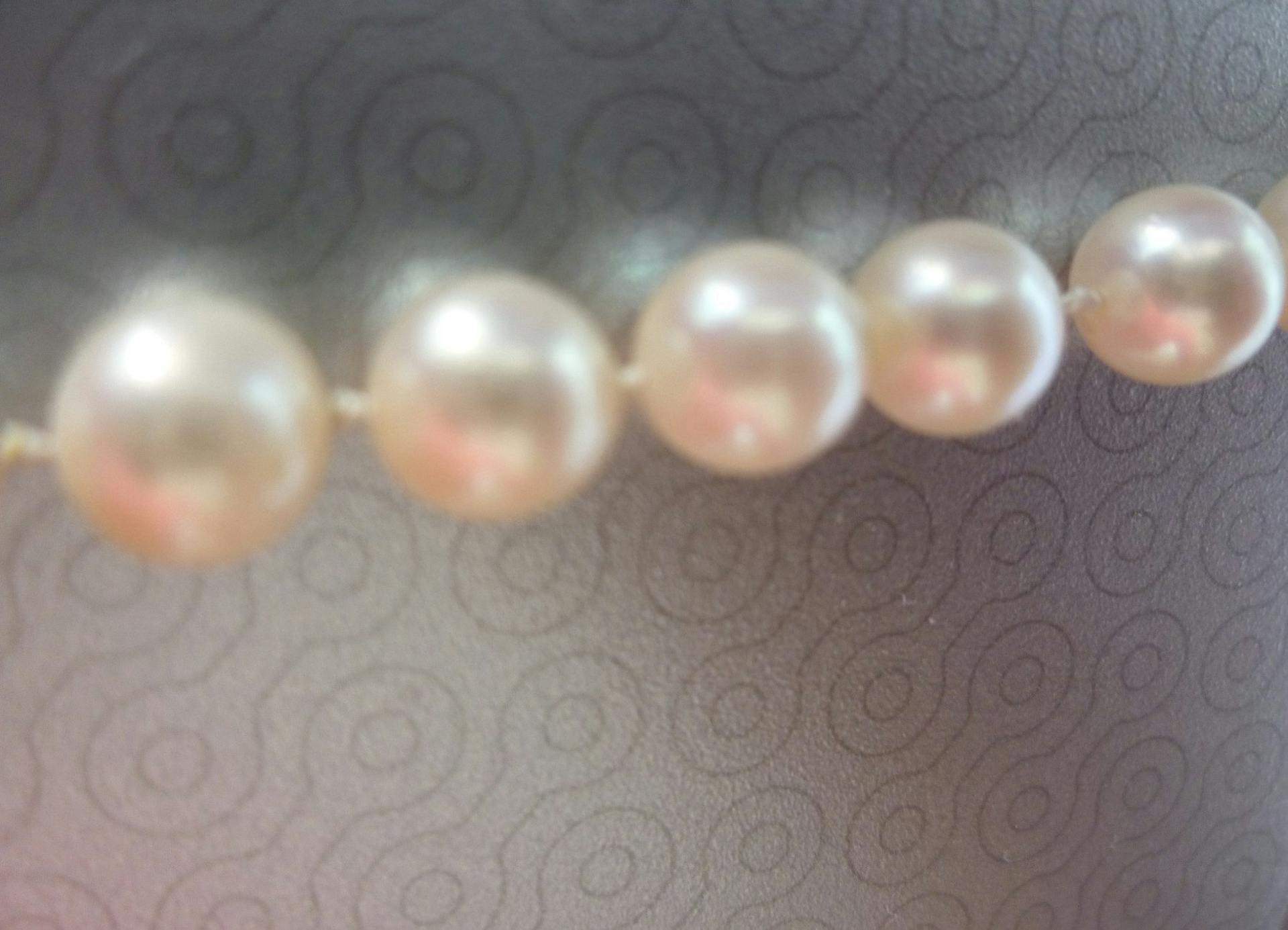 rose overtones - akoya pearls