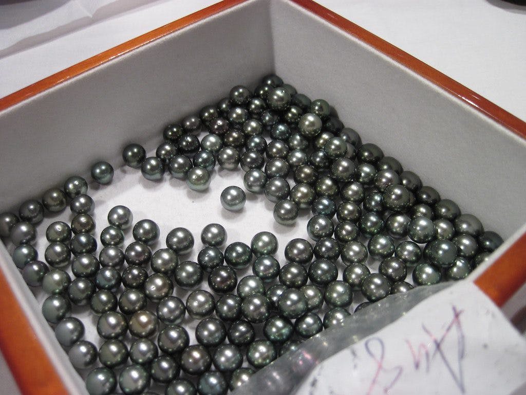 high quality - tahitian pearls